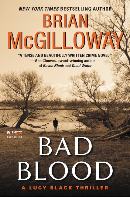 Bad Blood by Brian McGilloway