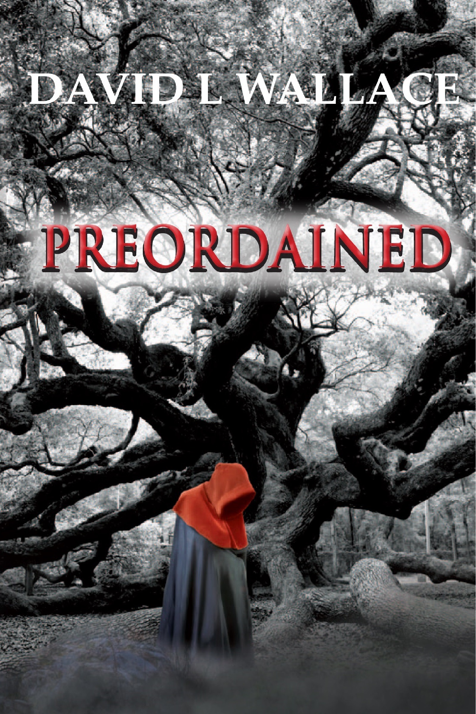 Preordained by David L Wallace