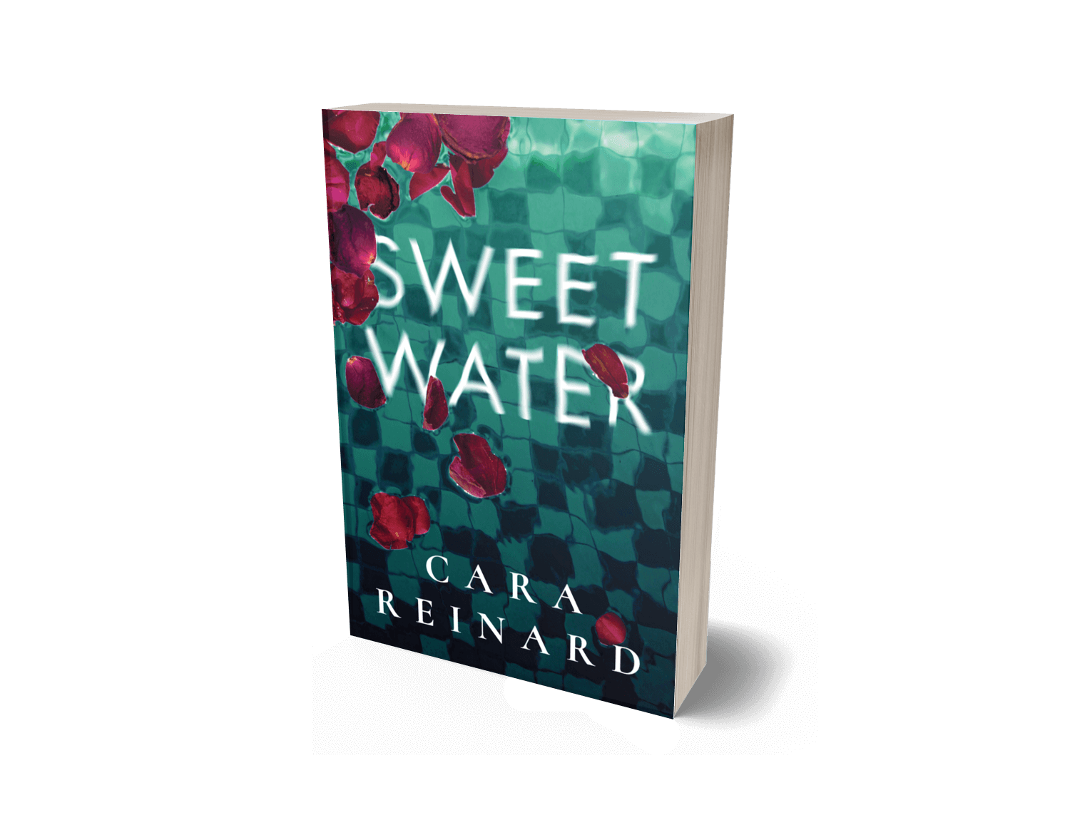 Excerpt | Sweet Water by Cara Reinard