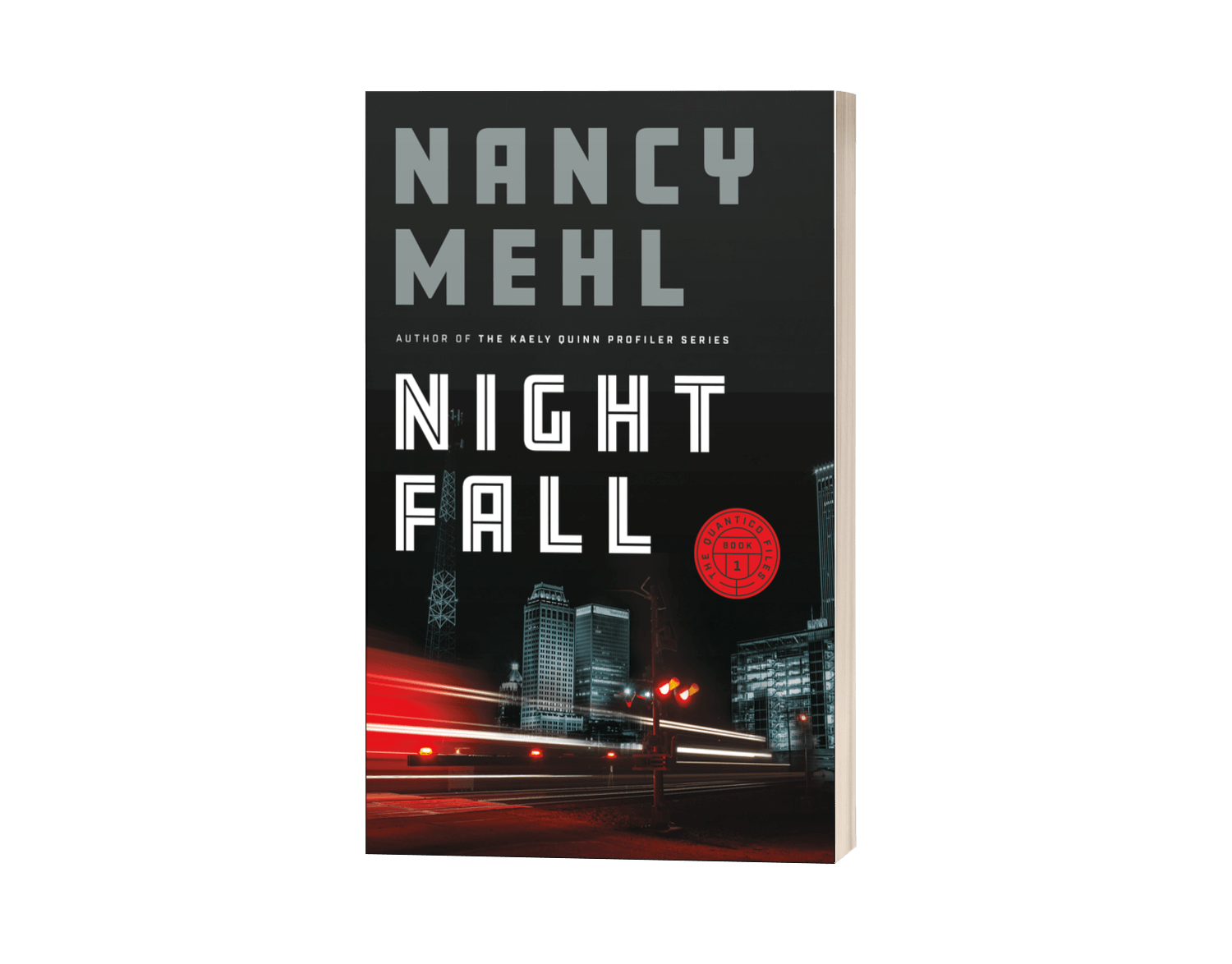 Excerpt | Night Fall by Nancy Mehl