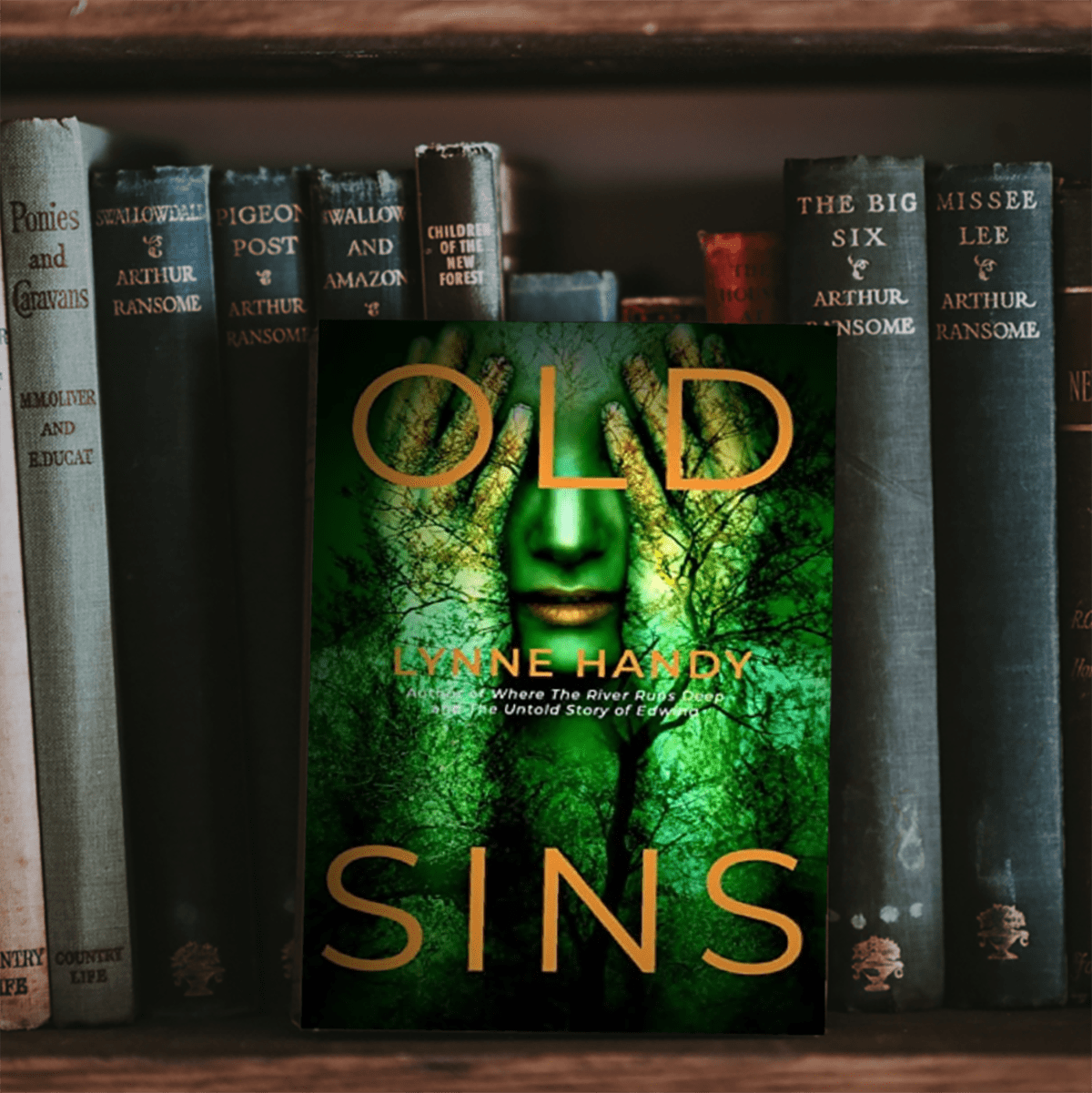 Excerpt | Old Sins