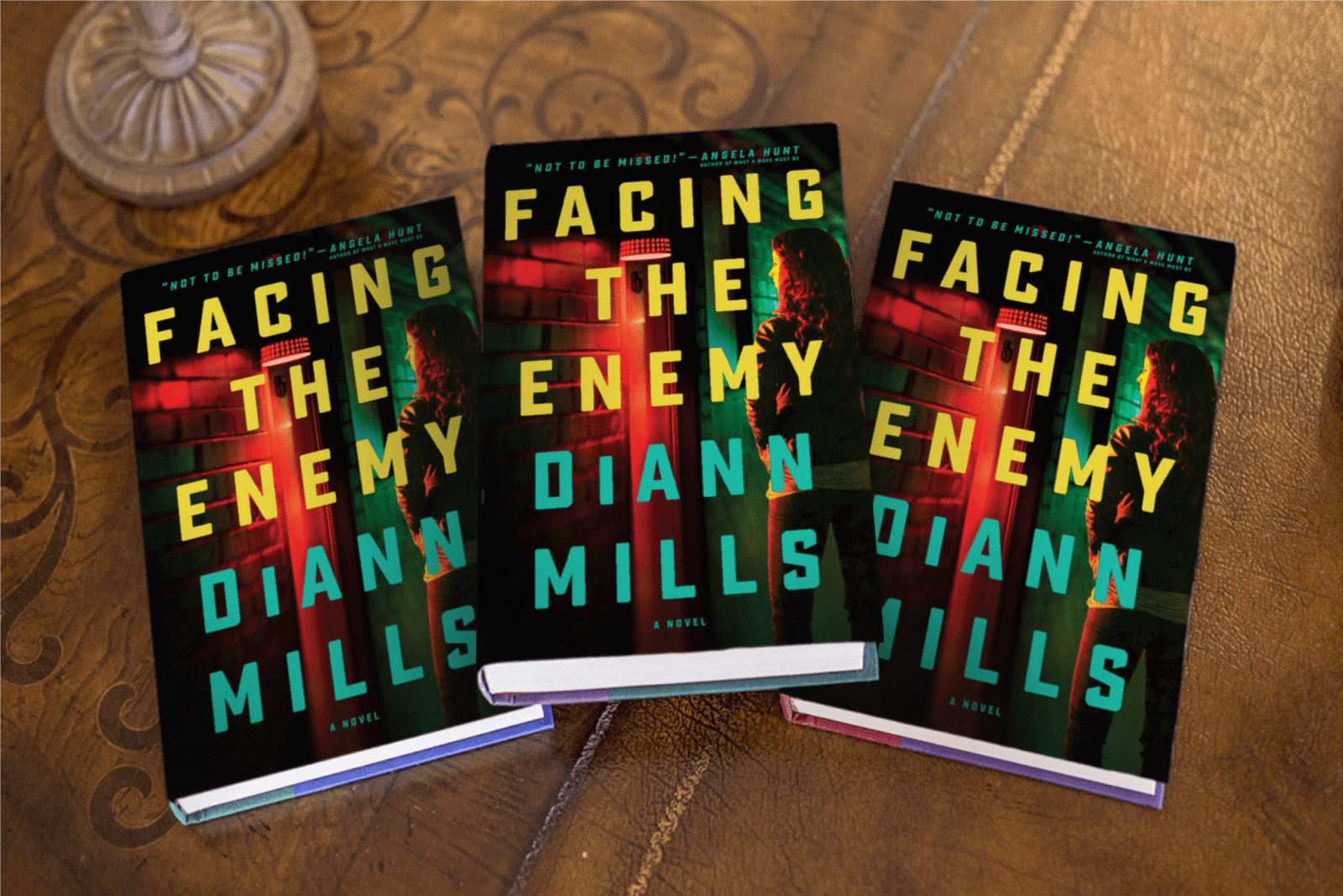 Excerpt | Facing The Enemy