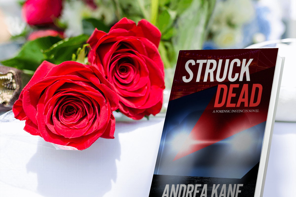 Review | Struck Dead by Andrea Kane